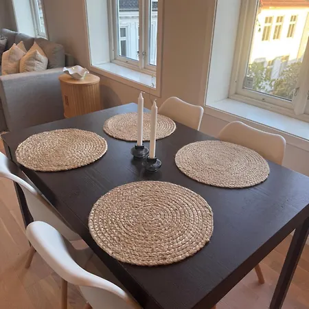 Apartment Sentrumsnaer Trivelig