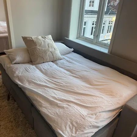 Apartment Sentrumsnaer Trivelig *