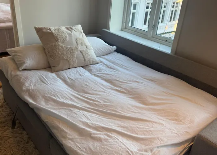 아파트 Sentrumsnaer Trivelig *